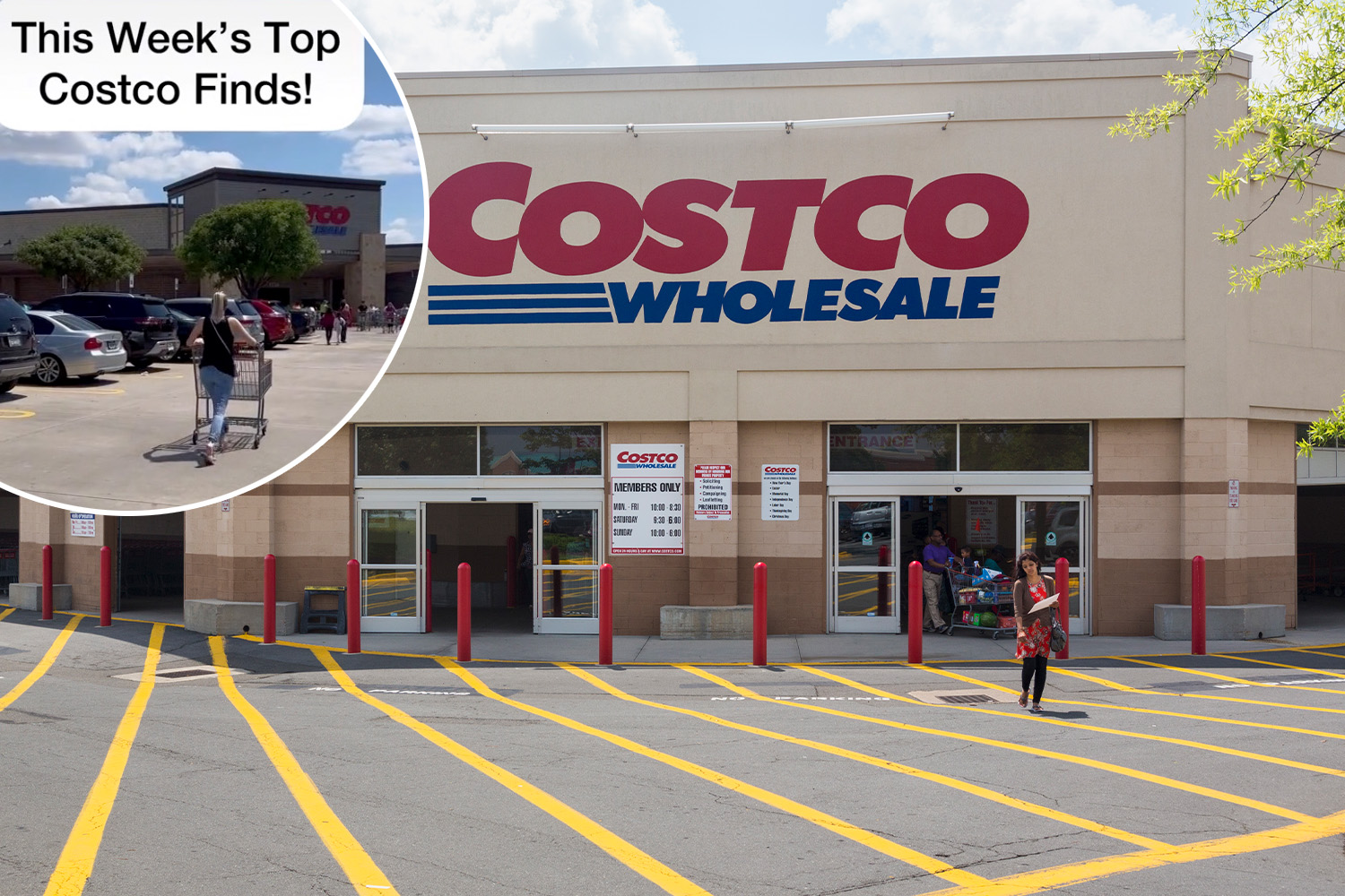 I'm a Costco expert - 5 must-buys starting at $9 including a pumpkin flavor